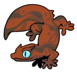 12732-Gecko-2-1-79-12137-11141-148.png