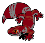 12817-Gecko-1-2-20-07154-06011-149.png