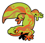 12832-Gecko-1-2-18-12124-11128-095.png