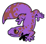 12926-Gecko-1-4-47-04034-03164-034.png