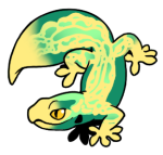 13004-Gecko-1-2-40-02107-01089-075.png