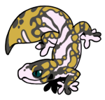 13130-Gecko-1-2-46-04018-03113-177.png