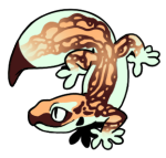 13179-Gecko-1-4-49-01157-01118-071.png