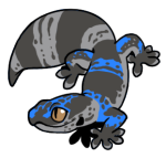 13224-Gecko-1-4-10-07018-06010-052.png