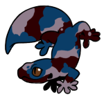 13245-Gecko-1-4-09-11062-10029-156.png