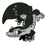 13690-Gecko-2-2-59-08022-07081-009.png