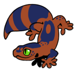 13747-Gecko-1-4-58-08148-07047-148.png