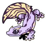 14120-Gecko-2-2-73-03025-02109-031.png