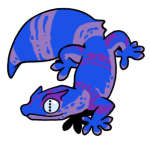 14423-Gecko-2-2-28-07049-06033-037.png
