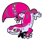 14526-Gecko-1-2-17-08173-07170-007.png