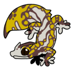 14564-Gecko-2-2-27-04138-03103-003.png