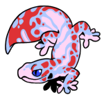 14565-Gecko-1-2-75-04055-03161-176.png