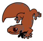 14567-Gecko-1-4-62-05148-04016-148.png