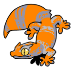 14974-Gecko-2-2-37-07116-06012-009.png
