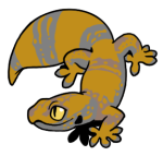 15167-Gecko-1-4-37-07102-06011-136.png