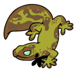 15277-Gecko-1-1-57-06143-05142-096.png