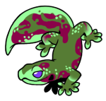 15390-Gecko-1-1-67-06089-05171-086.png