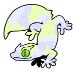 15578-Gecko-2-2-58-11094-10006-007.png
