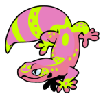 15780-Gecko-1-2-34-08092-07174-167.png