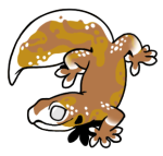 15781-Gecko-1-3-91-06004-05102-129.png