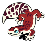15782-Gecko-1-2-79-10172-09162-001.png