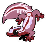 15914-Gecko-2-1-97-09177-08031-159.png