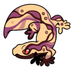 15972-Gecko-1-2-63-12157-11173-110.png