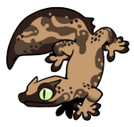 16049-Gecko-2-1-88-06140-05141-130.png