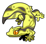 16145-Gecko-2-2-18-12096-11134-106.png