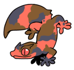 16164-Gecko-2-2-63-11143-10013-126.png