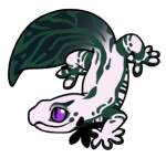 16271-Gecko-1-4-72-03077-02060-177.png