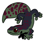 16328-Gecko-1-4-62-10172-09023-083.png