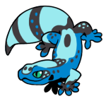 16520-Gecko-1-2-51-08014-07067-063.png