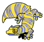 16707-Gecko-2-2-39-05104-04084-043.png