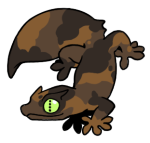 17098-Gecko-2-2-83-11019-10143-141.png