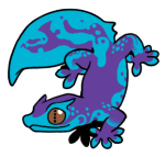 1734-Gecko-2-2-16-06065-05065-038.png