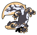 1738-Gecko-2-2-95-06110-05006-015.png
