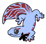 2016-Gecko-1-3-12-03055-02159-055.png