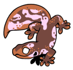 2073-Gecko-1-3-31-06128-05176-137.png