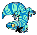 2074-Gecko-1-3-37-05063-04012-073.png