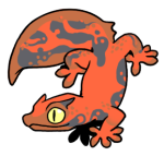 2483-Gecko-2-1-36-06128-05016-125.png