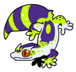 282-Gecko-2-1-20-08092-07040-006.png