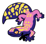 2969-Gecko-1-1-24-10105-09174-045.png