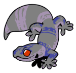 3330-Gecko-1-3-25-07011-06030-044.png