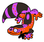 3585-Gecko-1-3-71-08035-07019-123.png