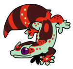 4616-Gecko-2-1-02-08151-07157-072.png