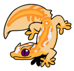 4686-Gecko-2-1-02-09115-08006-114.png