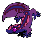 4699-Gecko-2-1-03-09172-08168-045.png