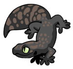 480-Gecko-1-4-88-10135-09017-020.png