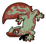 5176-Gecko-2-1-11-06149-05164-084.png